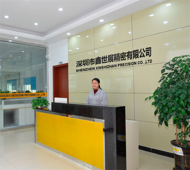 China Xinshizhan Precision Co., Ltd. company profile